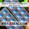 What Is Kamagra 100Mg Oral Jelly Used For viagra4